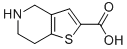 4,5,6,7-tetrahydrothieno[3,2-c]pyridine-2-carboxylic acid CAS#: 116118-98-0