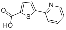 5-(2-PYRIDYL)THIOPHENE-2-CARBOXYLIC ACID CAS#: 119082-97-2