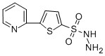 5-(2-PYRIDYL)THIOPHENE-2-SULFONOHYDRAZIDE CAS#: 175202-74-1