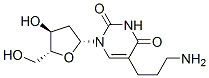 5-(3-aminopropyl)-2'-deoxyuridine CAS#: 118573-62-9