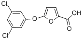 5-(3,5-DICHLOROPHENOXY)-2-FUROIC ACID CAS#: 175277-06-2