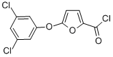 5-(3,5-DICHLOROPHENOXY)FURAN-2-CARBONYL CHLORIDE CAS#: 175277-07-3