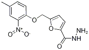 5-[(4-METHYL-2-NITROPHENOXY)METHYL]-2-FUROHYDRAZIDE CAS#: 364626-47-1