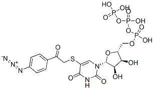 5-((4-azidophenacyl)thio)uridine 5'-triphosphate CAS#: 120853-61-4