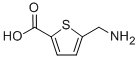 5-(AMINOMETHYL)THIOPHENE-2-CARBOXYLIC ACID CAS#: 120889-75-0