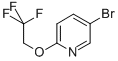 5-BROMO-2-(2,2,2-TRIFLUORO-ETHOXY)-PYRIDINE CAS#: 126728-58-3