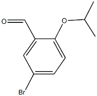 5-BROMO-2-ISOPROPOXYBENZALDEHYDE CAS#: 138505-25-6