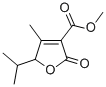 5-ISOPROPYL-4-METHYL-3-(METHOXYCARBONYL)-3,4-DIDEHYDRO-GAMMA-BUTYROLACTONE CAS#: 142438-65-1