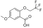 5-METHOXY-2-(2,2,2-TRIFLUOROETHOXY)BENZOIC ACID CAS#: 175205-34-2