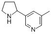 5-METHYL-3-(2-PYRROLIDINYL)PYRIDINE CAS#: 126741-11-5