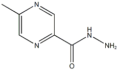 5-METHYLPYRAZINE-2-CARBOHYDRAZIDE CAS#: 37545-33-8
