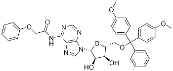 5'-O-(4,4'-DiMethoxytrityl)-N6-Phenoxyacetyl adenosine CAS#: 121076-16-2