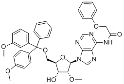 5'-O-DMT-2'-O-methyl-N6-phenoxyacetyl-D-adenosine CAS#: 128219-81-8