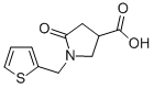 5-OXO-1-(2-THIENYLMETHYL)PYRROLIDINE-3-CARBOXYLIC ACID CAS#: 175136-92-2