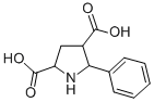5-PHENYL-2,4-PYRROLIDINEDICARBOXYLIC ACID CAS#: 117835-08-2