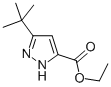 5-TERT-BUTYL-2H-PYRAZOLE-3-CARBOXYLIC ACID ETHYL ESTER CAS#: 294852-57-6