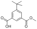 5-TERT-BUTYL-ISOPHTHALIC ACID MONOMETHYL ESTER CAS#: 377731-29-8
