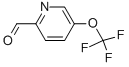 5-(TRIFLUOROMETHOXY)PYRIDINE-2-CARBALDEHYDE CAS#: 31191-05-6