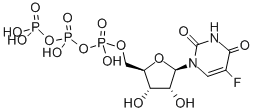 5-fluorouridine 5'-triphosphate CAS#: 3828-96-4