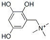 5-hydroxy-3-((trimethylammonio)methyl)catechol CAS#: 159662-74-5