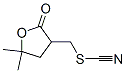 5,5-DIMETHYL-3-(THIOCYANATOMETHYL)DIHYDRO-2[3H]-FURANONE CAS#: 154750-32-0