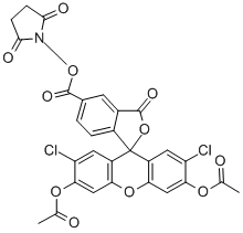 5(6)-CARBOXY-2',7'-DICHLOROFLUORESCEIN DIACETATE N-SUCCINIMIDYL ESTER CAS#: 147265-60-9