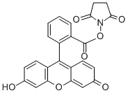 5(6)-Carboxyfluorescein N-succinimidyl ester CAS#: 117548-22-8