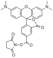 5(6)-Carboxytetramethylrhodamine succinimidyl ester CAS#: 150408-83-6