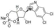 5,6-DCI-CBIMF SODIUM SALT CAS#: 129693-10-3