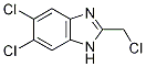 5,6-Dichloro-2-(chloromethyl)-1H-benzimidazole CAS#: 39811-03-5