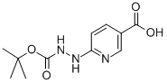 6-[2-(tert-Butoxycarbonyl)hydrazinyl]nicotinic acid CAS#: 133081-25-1