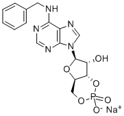 6-BN-CAMP SODIUM SALT CAS#: 32115-08-5