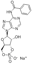 6-BNZ-CAMP SODIUM SALT CAS#: 30275-80-0