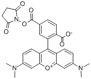 6-CARBOXYTETRAMETHYLRHODAMINE N-HYDROXYSUCCINIMIDE ESTER CAS#: 127290-93-1