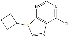 6-Chloro-9-cyclobutyl-9H-purine CAS#: 132332-65-1