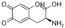 6-Hydroxydopaquinone CAS#: 135791-48-9