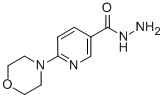 6-MORPHOLINONICOTINOHYDRAZIDE CAS#: 388088-71-9