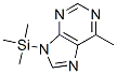 6-Methyl-9-(trimethylsilyl)-9H-purine CAS#: 32865-79-5