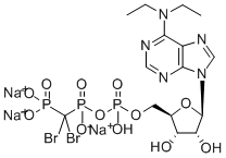 6-N,N-DIETHYL-D-BETA-GAMMA-DIBROMOMETHYLENE ATP CAS#: 160928-38-1