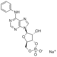 6-PHE-CAMP SODIUM SALT CAS#: 34051-30-4