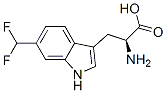 6-(difluoromethyl)tryptophan CAS#: 131490-35-2