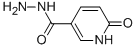 6-oxo-1,6-dihydropyridine-3-carboxylic acid hydrazide CAS#: 134531-63-8