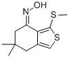 6,6-DIMETHYL-3-(METHYLTHIO)-4,5,6,7-TETRAHYDROBENZO[C]THIOPHEN-4-ONE OXIME CAS#: 175202-71-8
