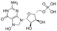 7-hydroxyguanosine 5'-monophosphate CAS#: 119269-31-7