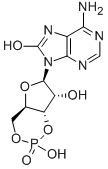 7,8-DIHYDRO-8-OXOADENOSINE-3':5'-CYCLIC MONOPHOSPHATE CAS#: 31356-95-3