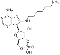 8-AHA-CAMP CAS#: 39824-30-1