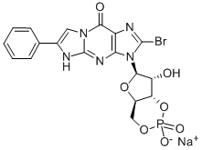 8-BR-PET-CGMP SODIUM SALT CAS#: 144510-04-3