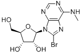 8-BROMO-N-METHYL-ADENOSINE CAS#: 37116-71-5