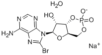 8-BROMOADENOSINE-3',5'-CYCLIC MONOPHOSPHATE SODIUM SALT HYDRATE CAS#: 123334-12-3