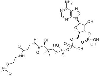 ACETYL COENZYME A, [ACETYL-1-14C] CAS#: 4332-37-0